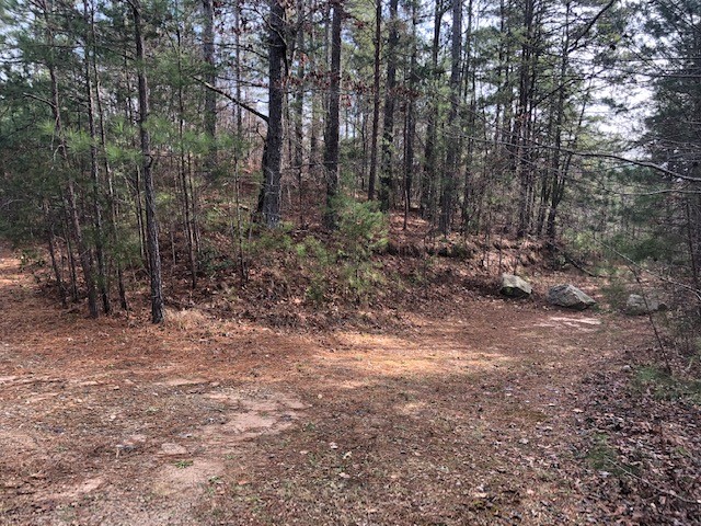 322 Golden Bear Drive Sunset, SC 29685 - Photo 9 of 26 View of corner of lot from Golden Bear.