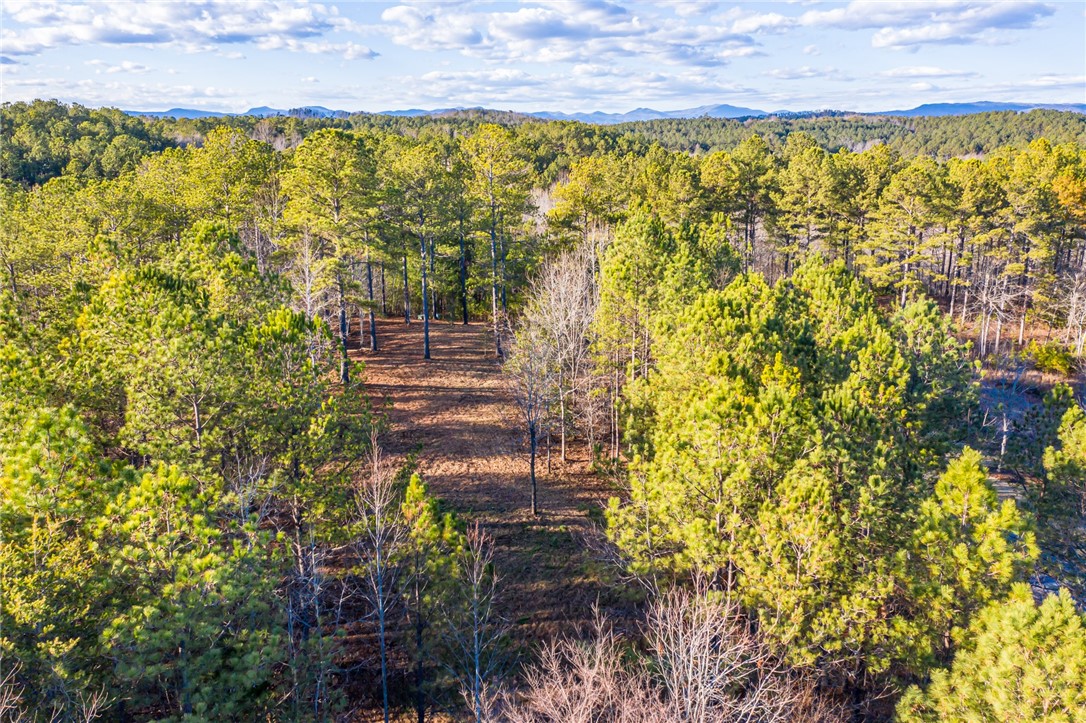 322 Golden Bear Drive Sunset, SC 29685 - Photo 10 of 26