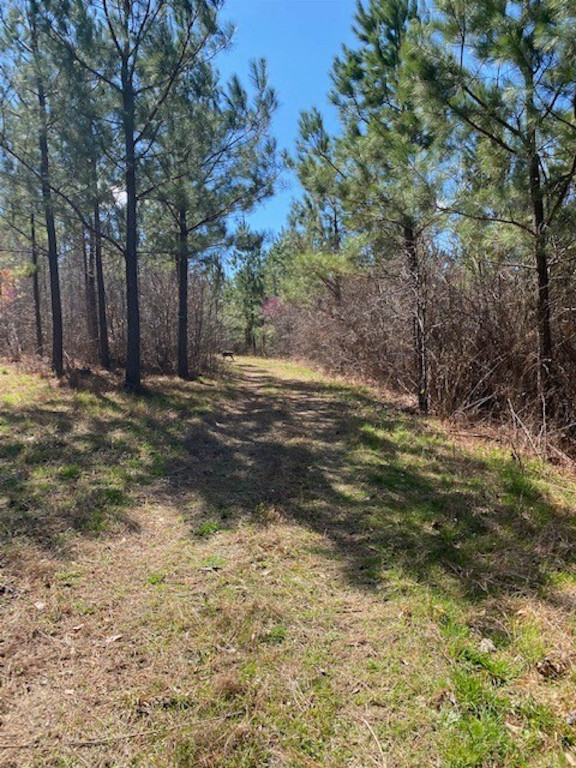 68 Old Collins Road Mebane, NC 27302 - Photo 26 of 42 Gallery Image 26