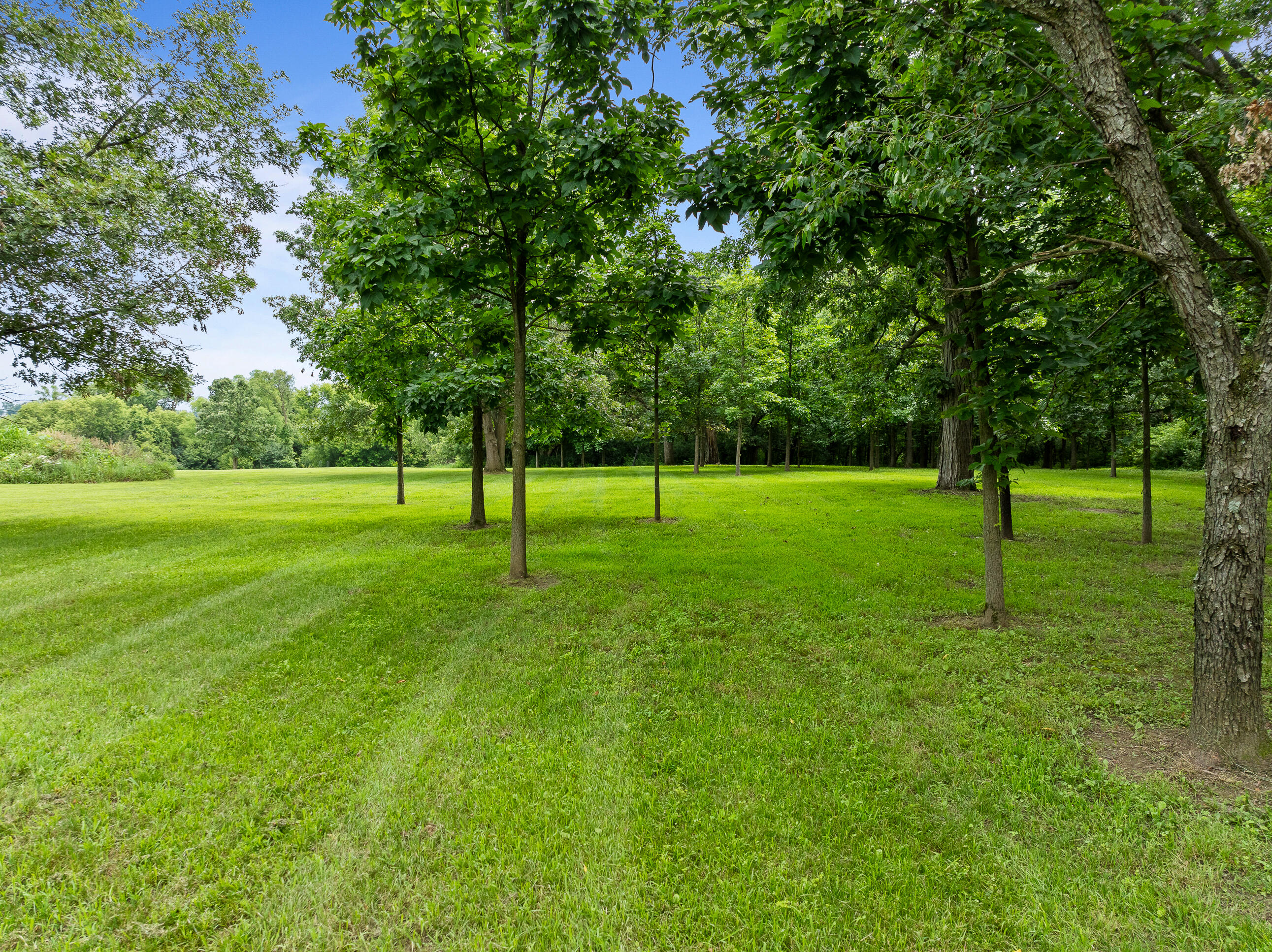 W3830 Scotch Bush Road Lafayette, WI 53121 - Photo 120 of 135 W3830 Sotch Bush - Summer Selects-59