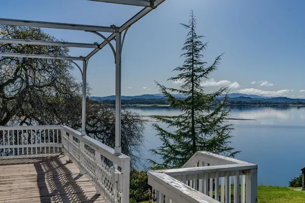 a view of a park with large trees