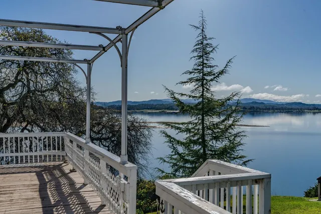 a view of a park with large trees
