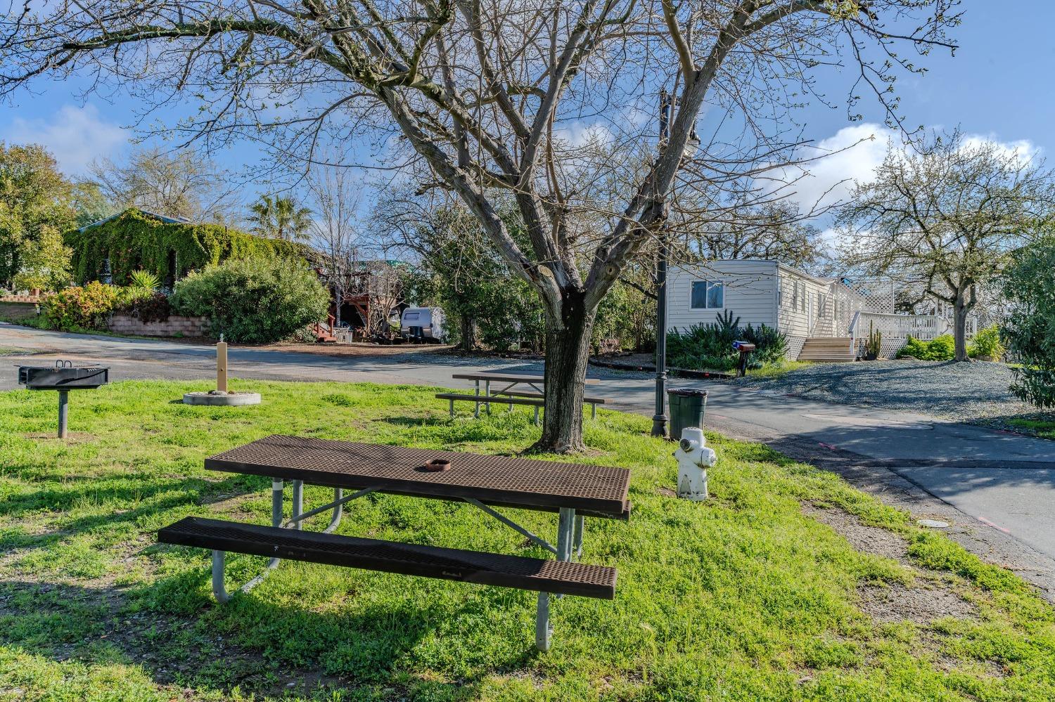 2000 Camanche Road, Unit 16 Ione, CA 95640 - Photo 28 of 36 a view of a park with large trees