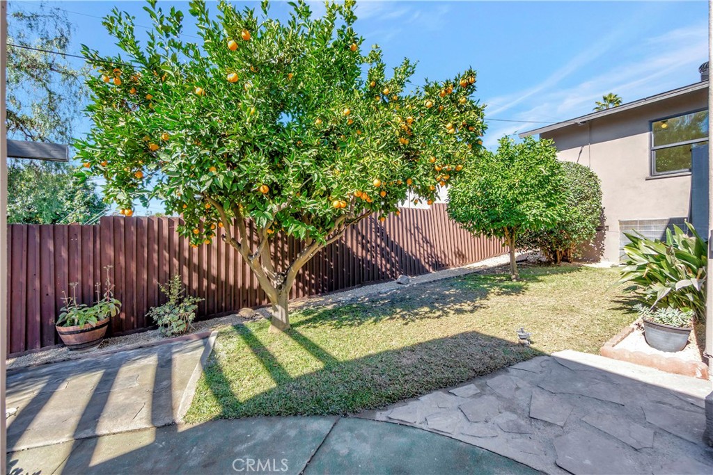 68 Laurel Drive Altadena, CA 91001 - Photo 46 of 59 Covered Pergola with Mature Fruit Trees