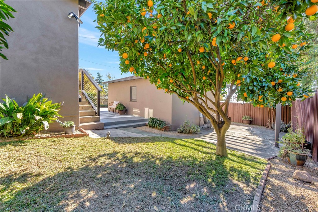 68 Laurel Drive Altadena, CA 91001 - Photo 47 of 59 a view of a yard with plants and a large tree