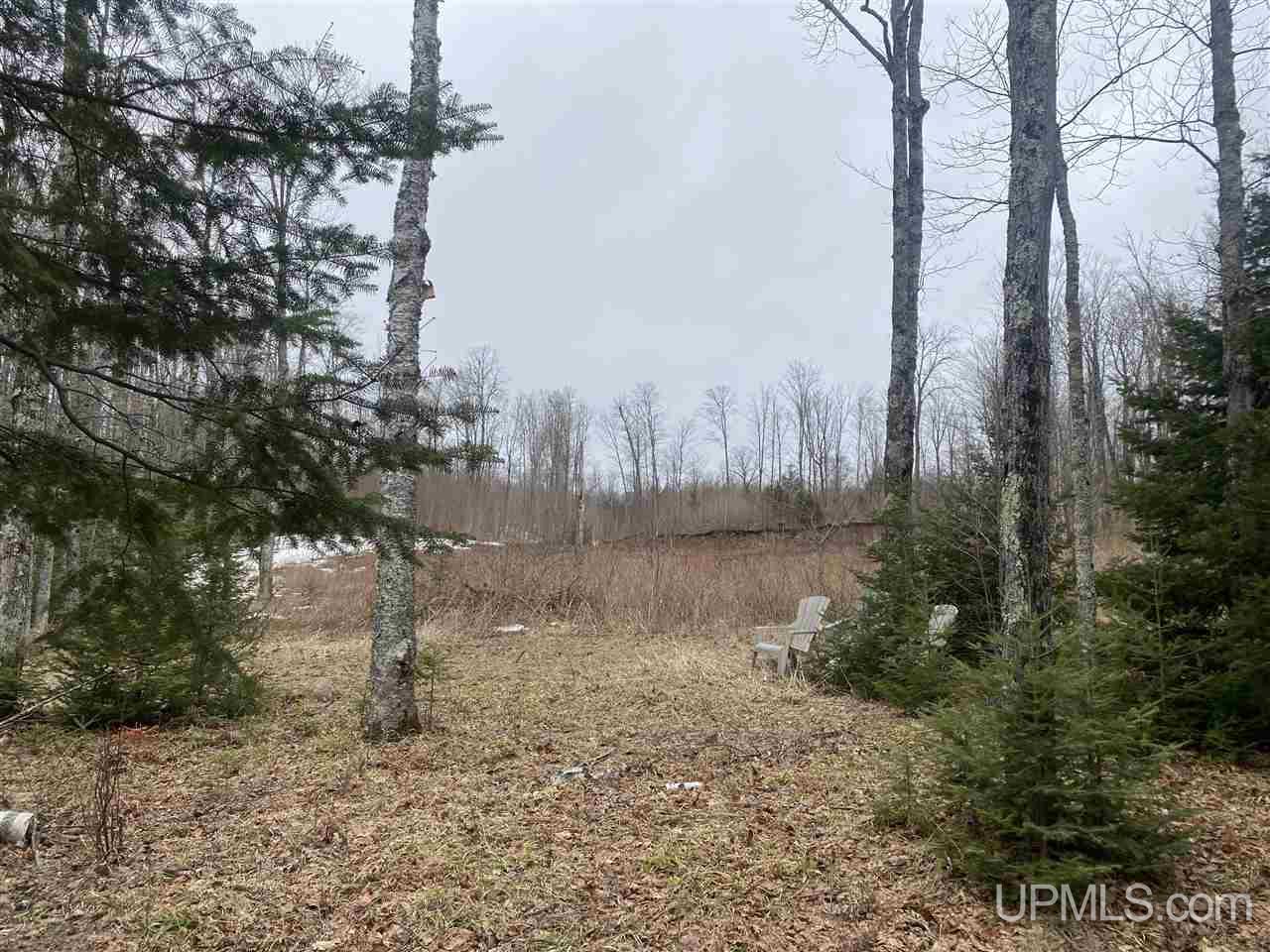 Tbd West Tamarack Lake Road, Unit 17 Iron River, MI 49935 - Photo 23 of 45