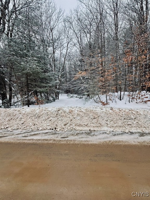 Penfield Road Camden, NY 13316 - Photo 2 of 11