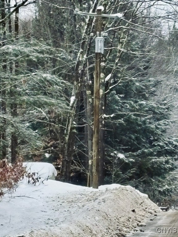 Penfield Road Camden, NY 13316 - Photo 5 of 11