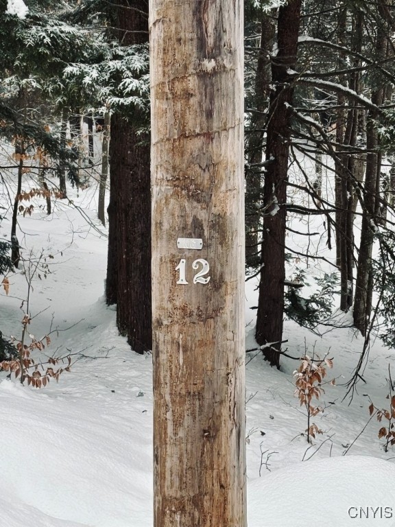 Penfield Road Camden, NY 13316 - Photo 6 of 11