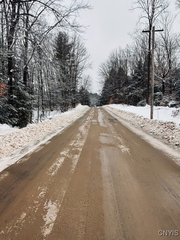 Penfield Road Camden, NY 13316 - Photo 7 of 11