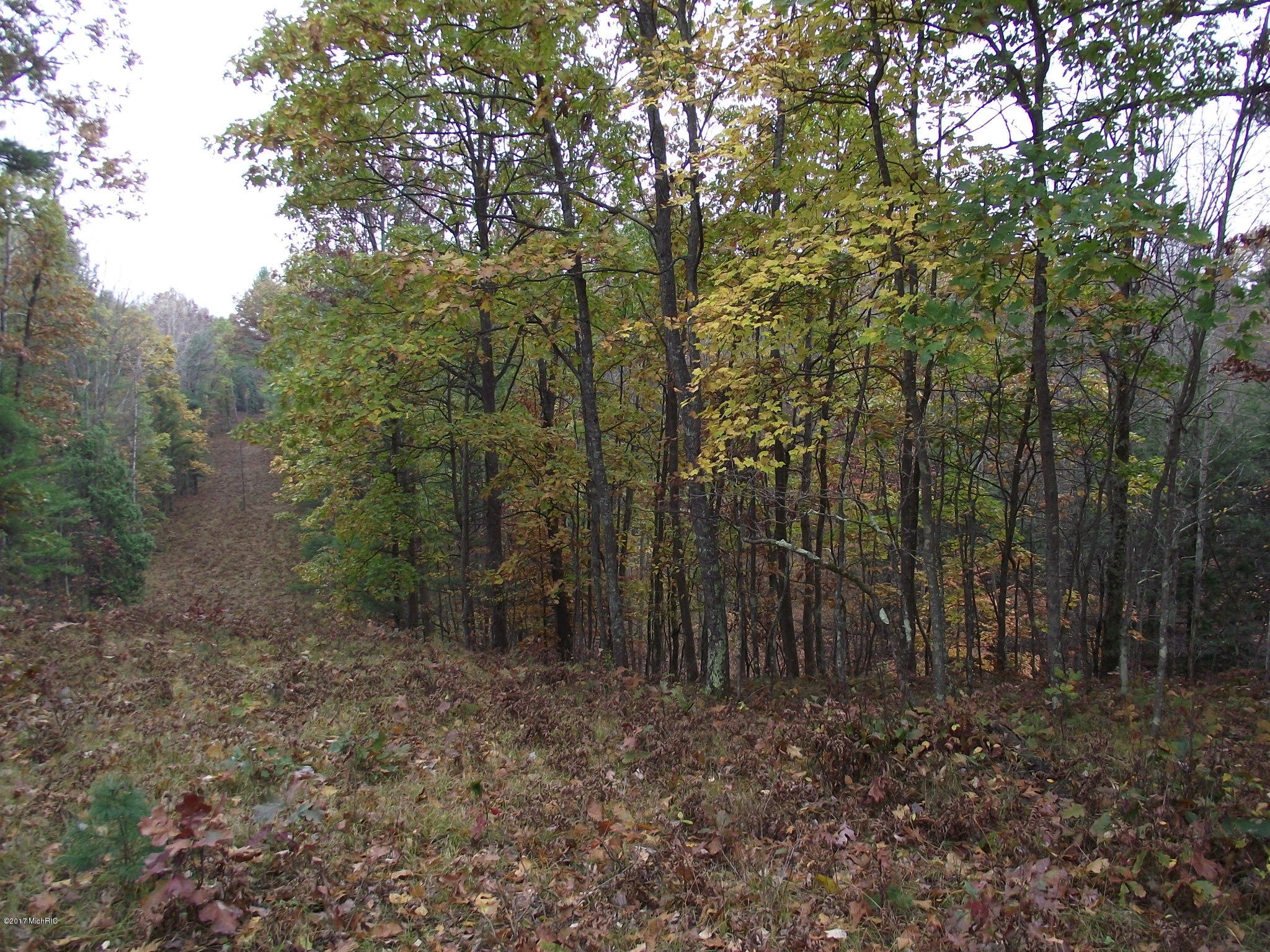 DSCF4772