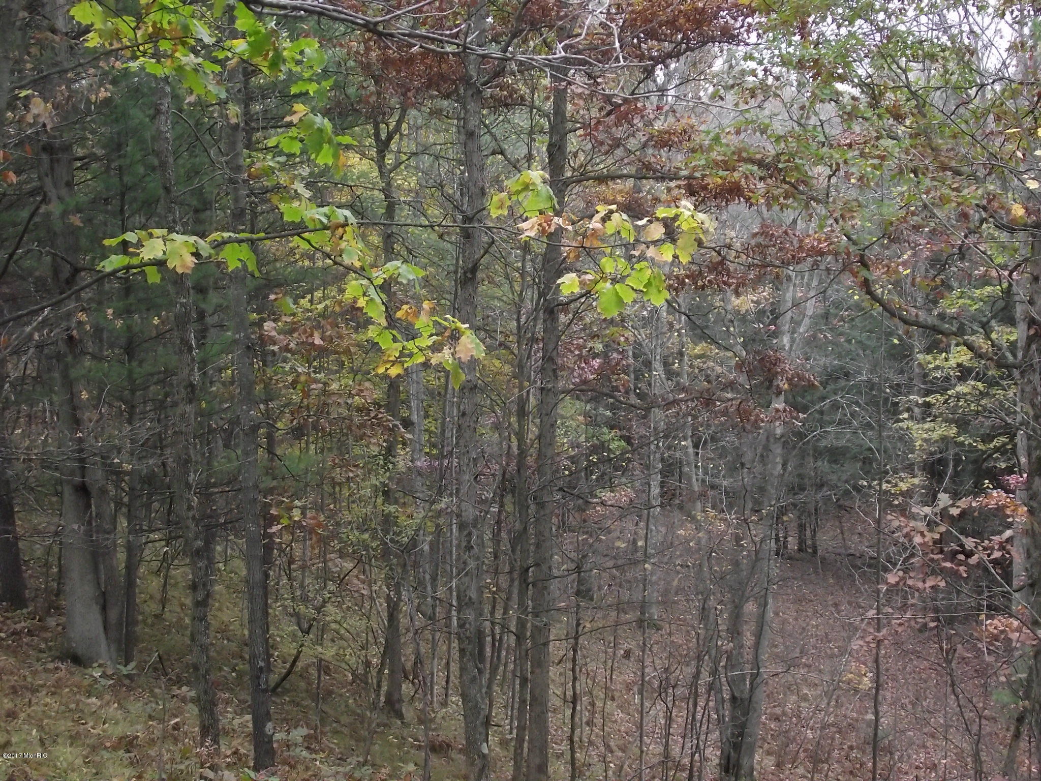 11019 Vitaz Road Brethren, MI 49619 - Photo 14 of 19 DSCF4786