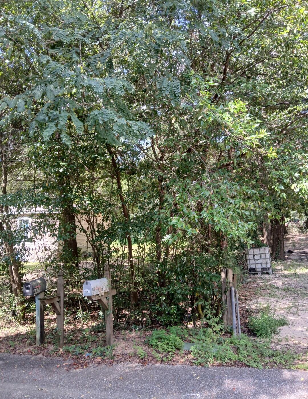 0 Benjamin Street Crestview, FL 32536 - Photo 4 of 7 a view of a yard with large trees