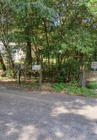 a view of a yard with a tree
