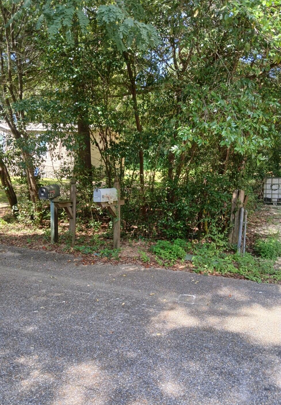 0 Benjamin Street Crestview, FL 32536 - Photo 5 of 7 a view of a yard with a tree