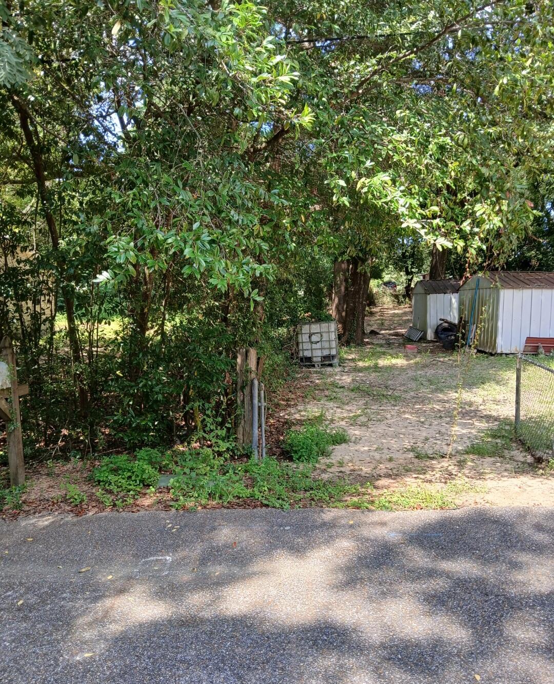 0 Benjamin Street Crestview, FL 32536 - Photo 6 of 7 a view of a backyard with plants and large trees