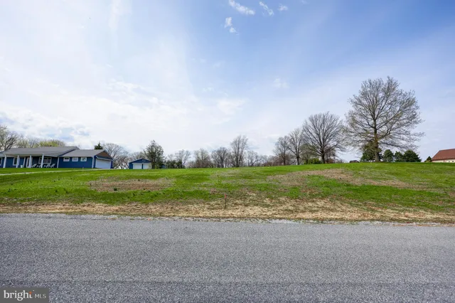 a view of field with tall trees