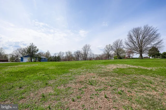 a view of a grassy field with trees