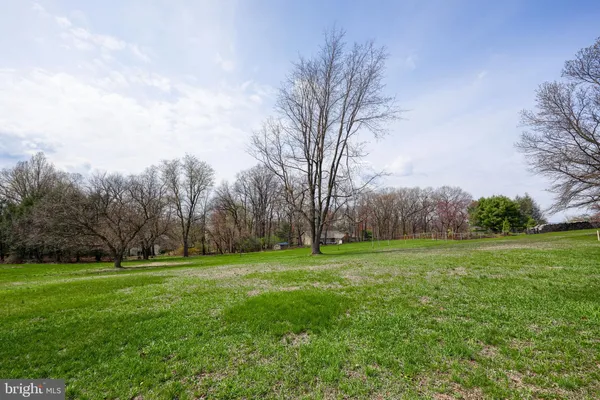 a big yard with lots of green space