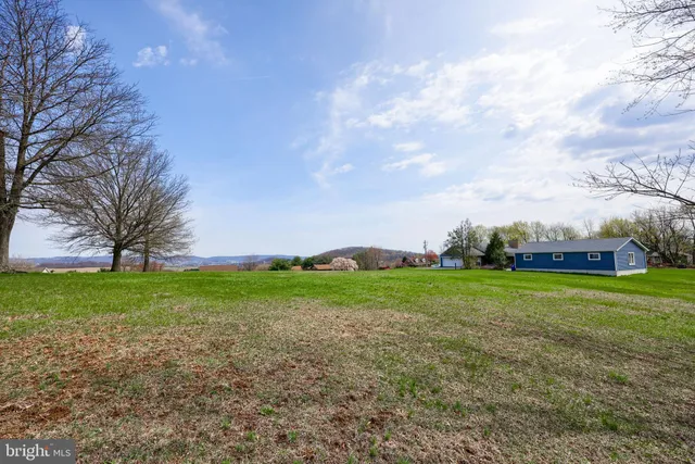 a big yard with lots of green space and plants