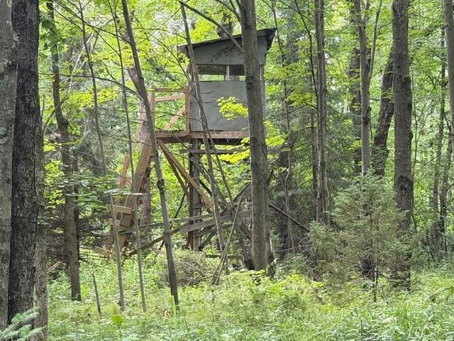 3319 N Road Mosinee, WI 54455 - Photo 37 of 42 Gallery Image 37