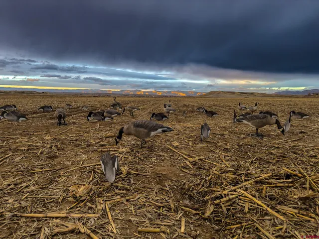 $3,195,000 | 830 Old 6 And 50, Mack, CO 81525