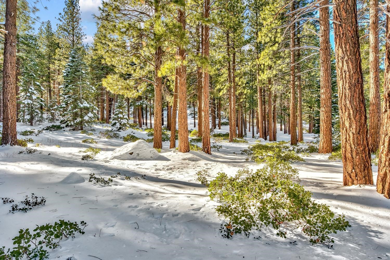 135 West Jeffrey Pine Road Reno, NV 89511 - Photo 15 of 21 Gallery Image 15