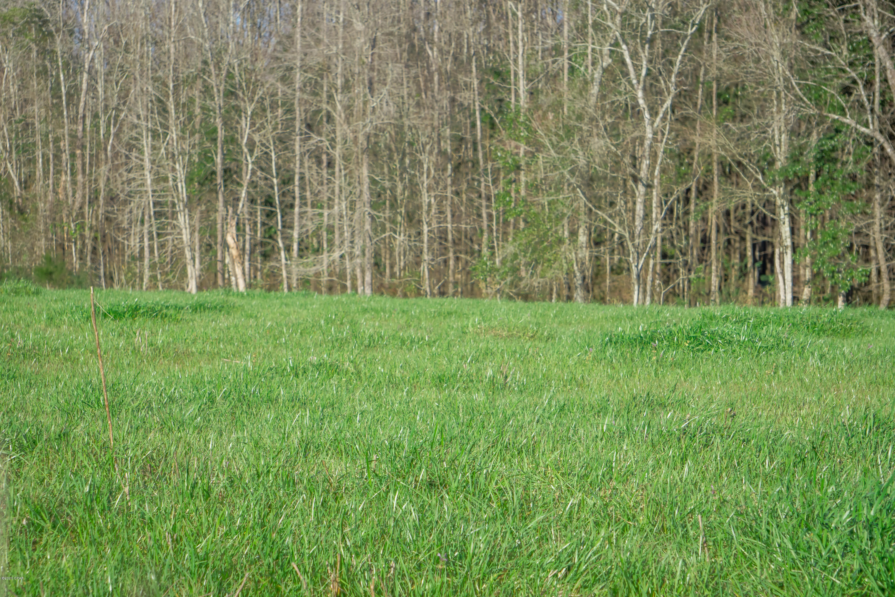 1289 Old Ridge Road Bonifay, FL 32425 - Photo 16 of 37 Gallery Image 16