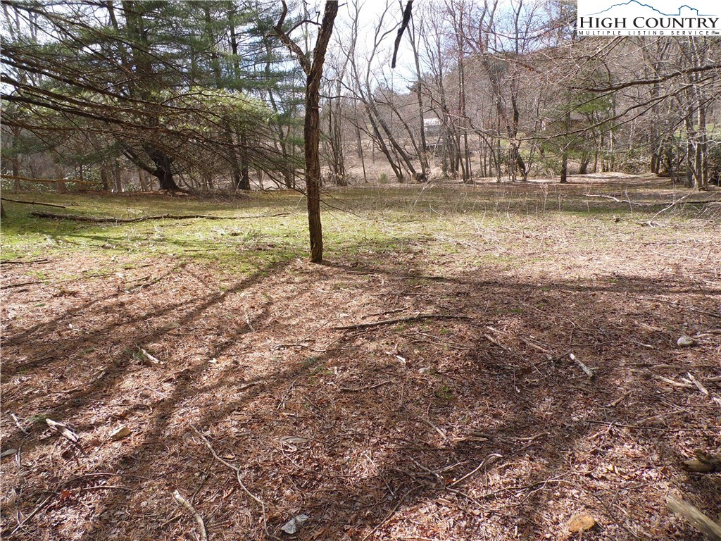 5116 Fox Ridge Road Ennice, NC 28623 - Photo 14 of 36 Gallery Image 14