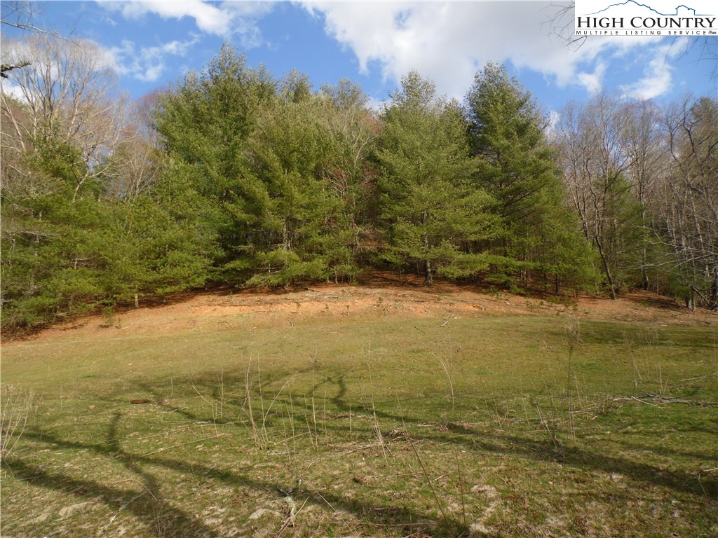 5116 Fox Ridge Road Ennice, NC 28623 - Photo 15 of 36 Gallery Image 15
