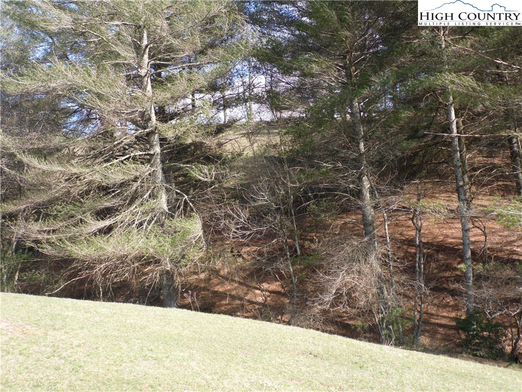 5116 Fox Ridge Road Ennice, NC 28623 - Photo 36 of 36 Gallery Image 36