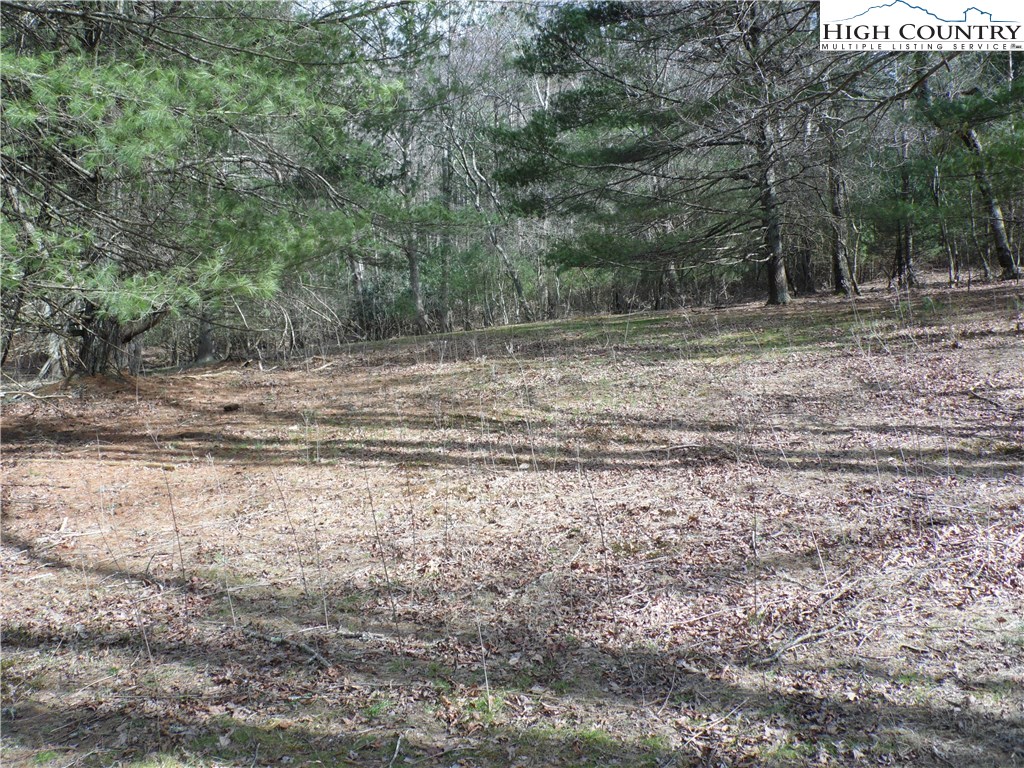 5116 Fox Ridge Road Ennice, NC 28623 - Photo 8 of 36 Gallery Image 8