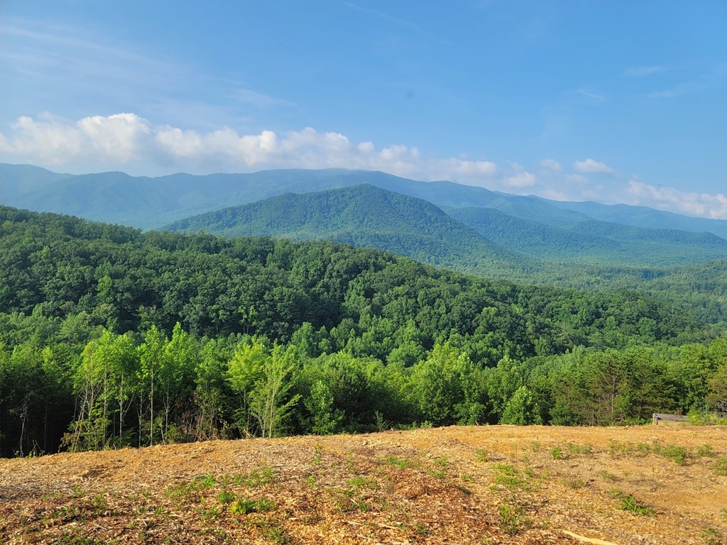264 Sonshine Ridge Road Cosby, TN 37722 - Photo 12 of 34 Gallery Image 12