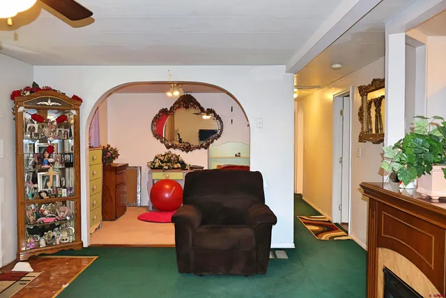 a living room with furniture and a fireplace