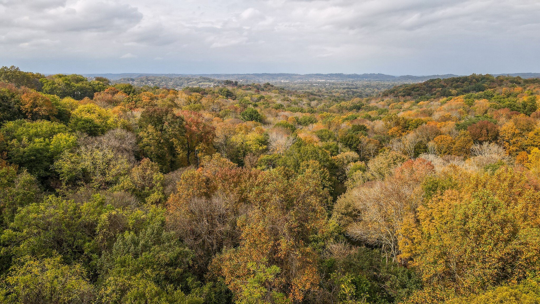 736 Sneed Road West Nashville, TN 37221 - Photo 41 of 47 Gallery Image 41