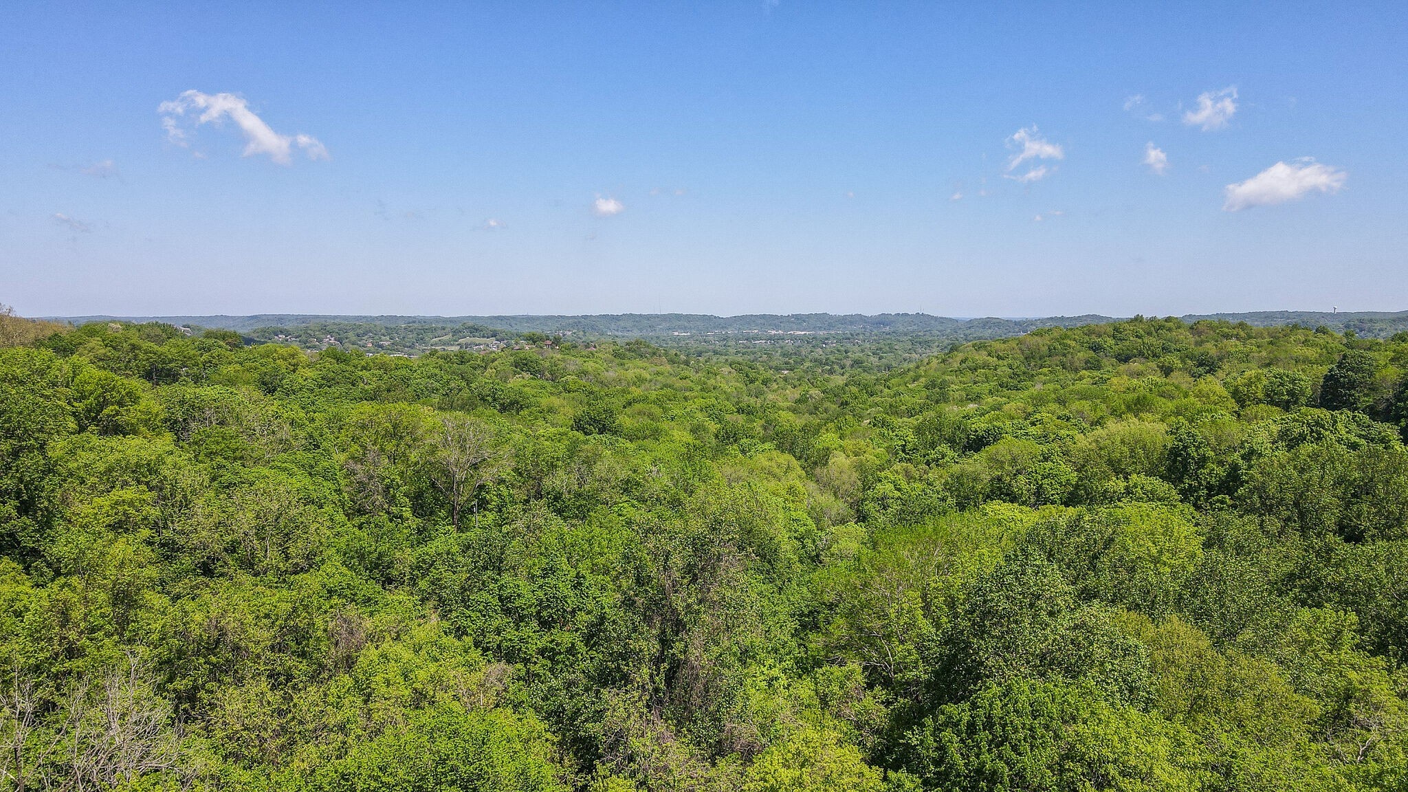 736 Sneed Road West Nashville, TN 37221 - Photo 42 of 47 Gallery Image 42
