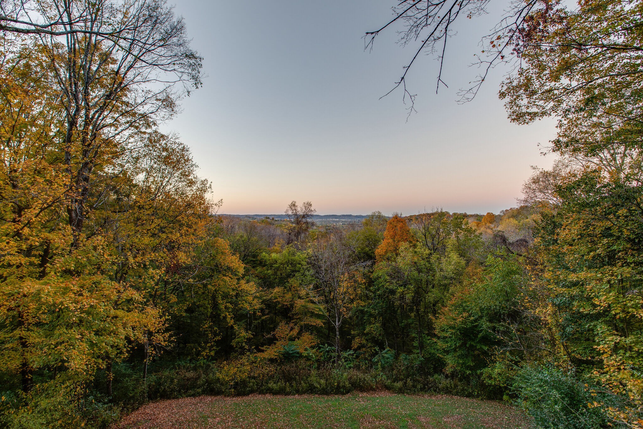 736 Sneed Road West Nashville, TN 37221 - Photo 46 of 47 Gallery Image 46
