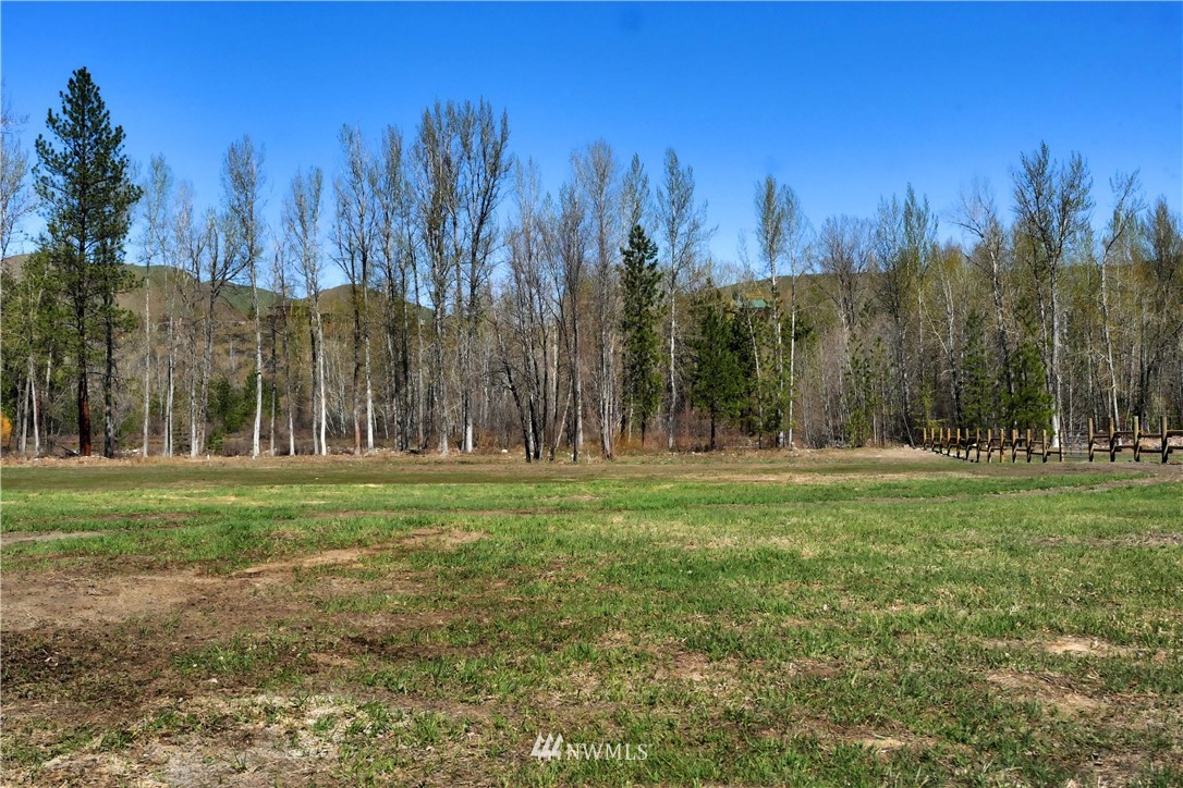 128 E Poorman Creek Road Twisp, WA 98856 - Photo 12 of 27 Gallery Image 12