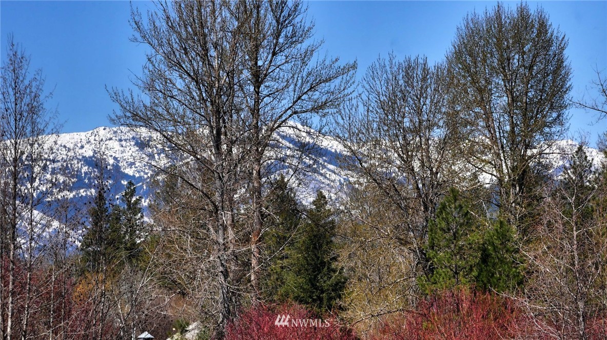 128 E Poorman Creek Road Twisp, WA 98856 - Photo 14 of 27 Gallery Image 14