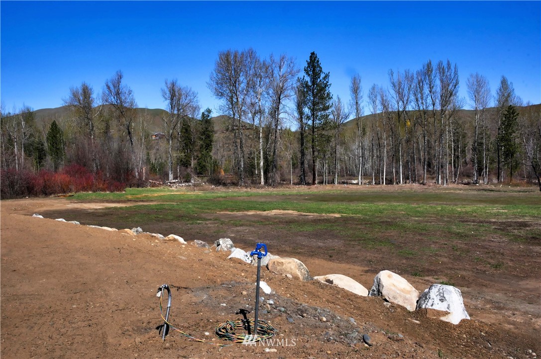 128 E Poorman Creek Road Twisp, WA 98856 - Photo 15 of 27 Gallery Image 15