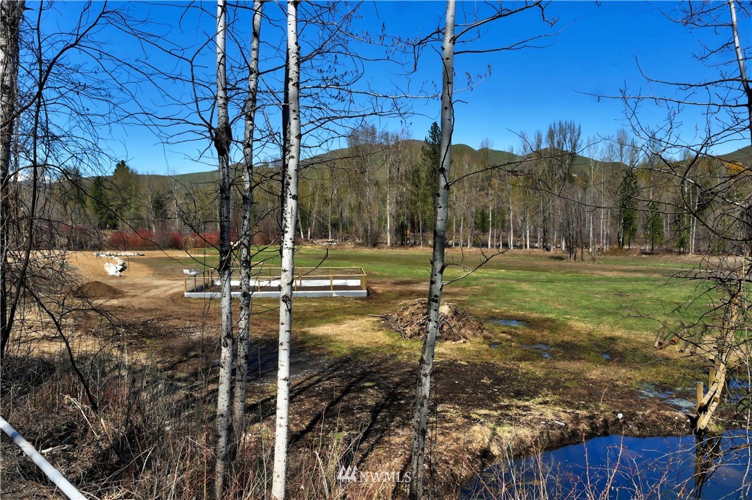 128 E Poorman Creek Road Twisp, WA 98856 - Photo 22 of 27 Gallery Image 22