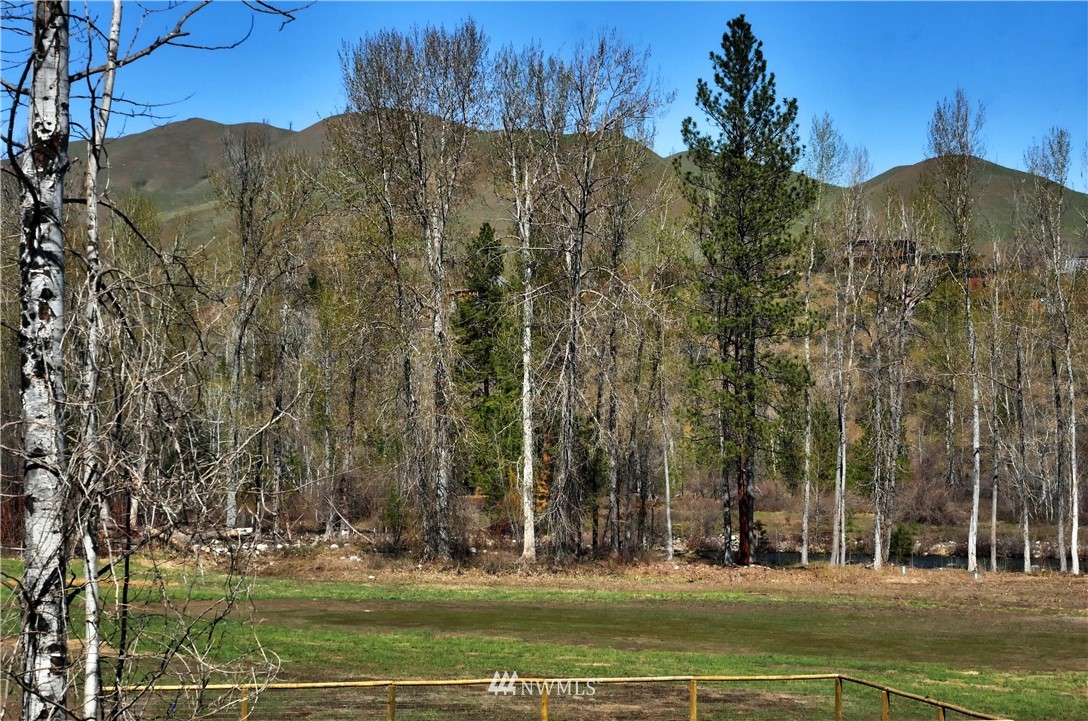 128 E Poorman Creek Road Twisp, WA 98856 - Photo 23 of 27 Gallery Image 23