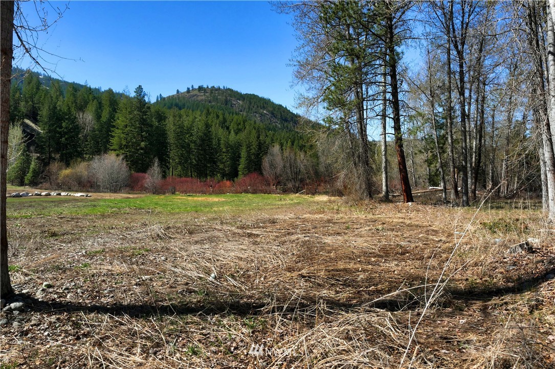 128 E Poorman Creek Road Twisp, WA 98856 - Photo 24 of 27 Gallery Image 24