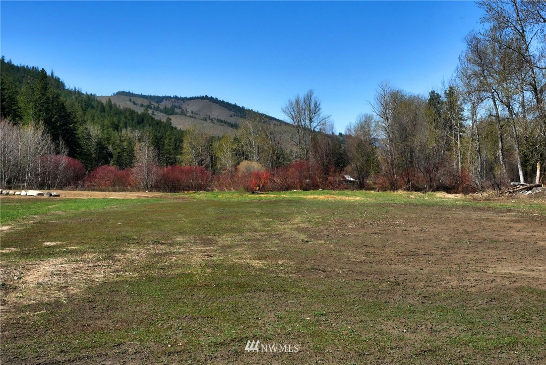 128 E Poorman Creek Road Twisp, WA 98856 - Photo 10 of 27 Gallery Image 10