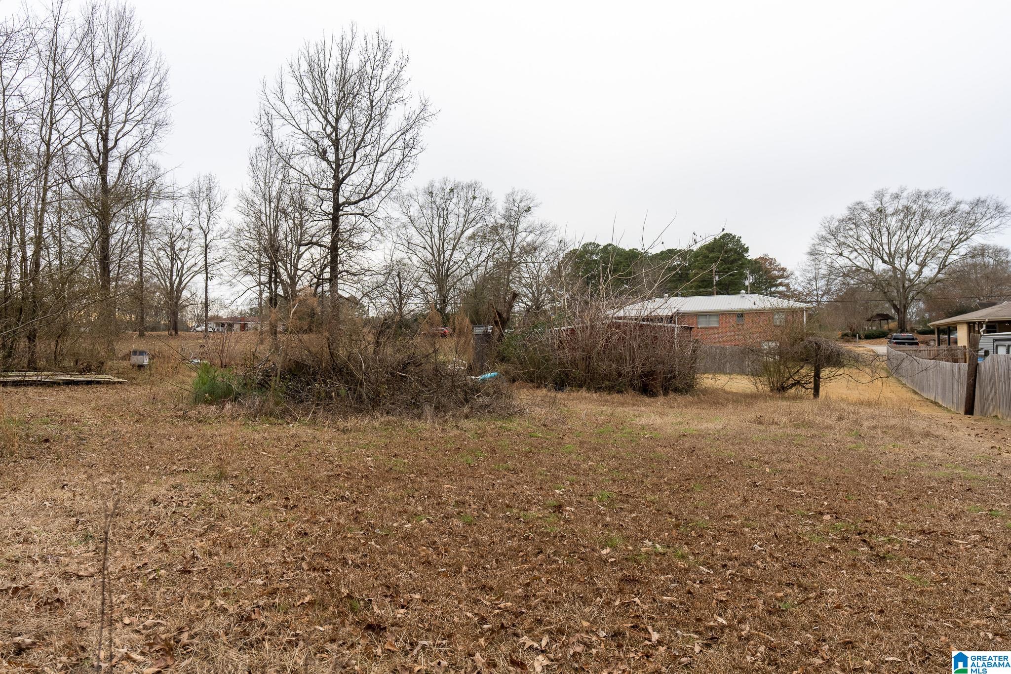 303 Florence Street Bessemer, AL 35023 - Photo 32 of 33