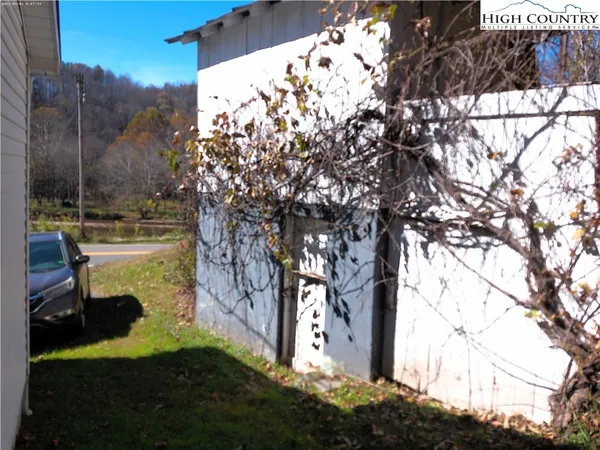 a view of a yard with plants and large trees