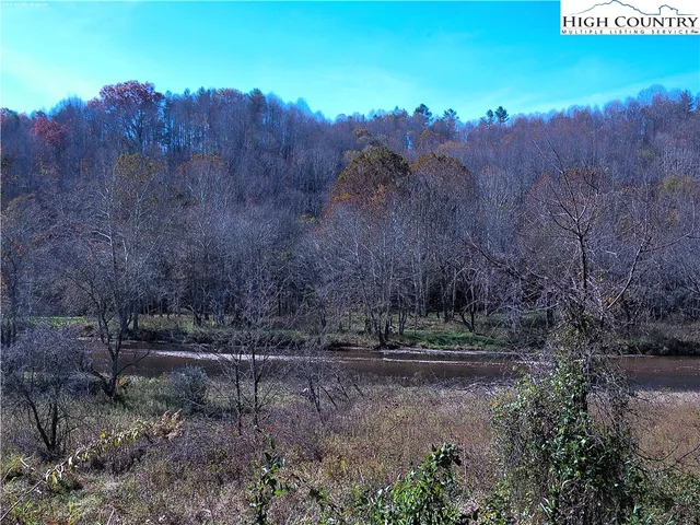 a view of a dry yard with trees