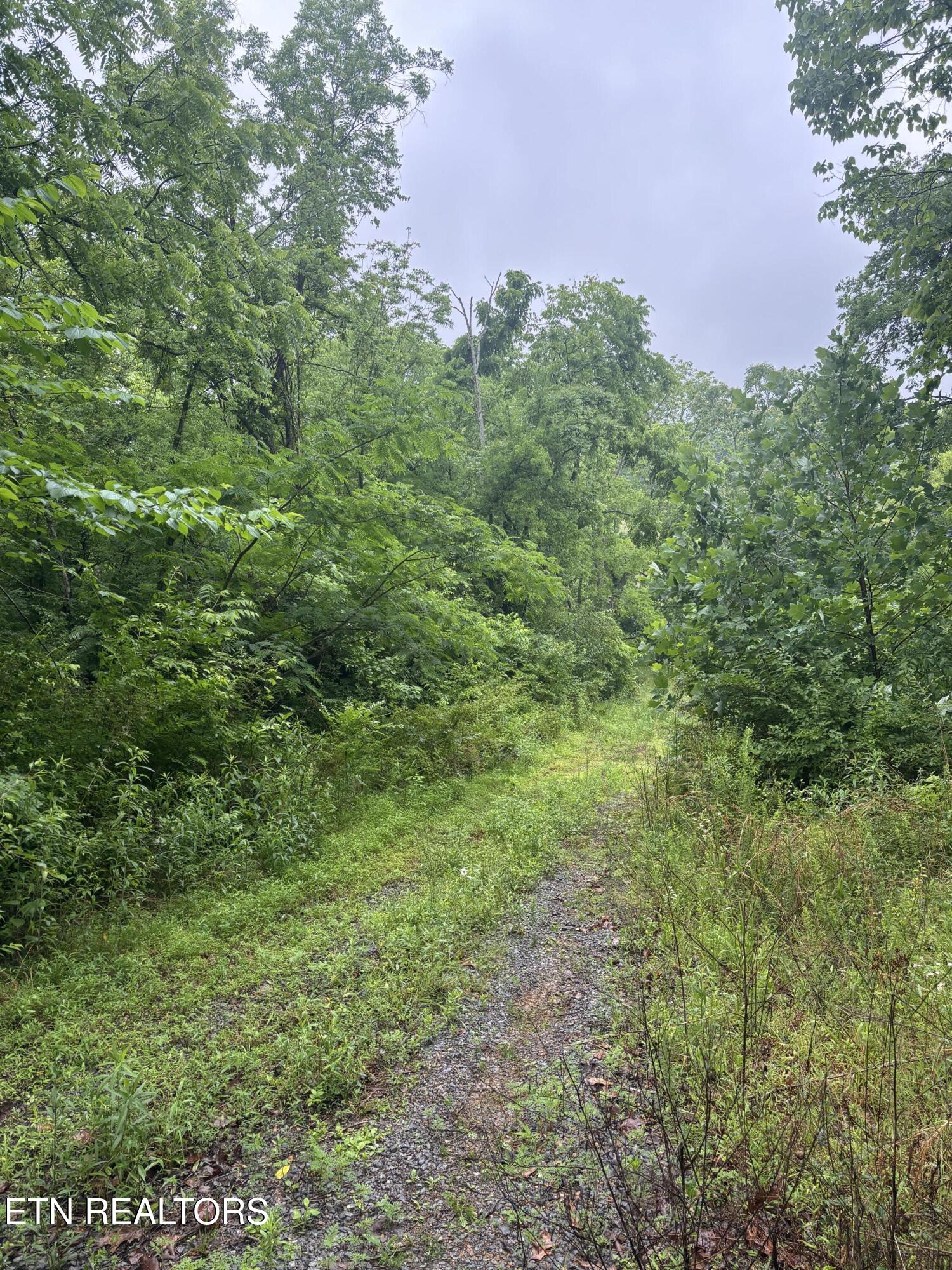 Morrell Springs Road Newport, TN 37821 - Photo 16 of 18 IMG_0082