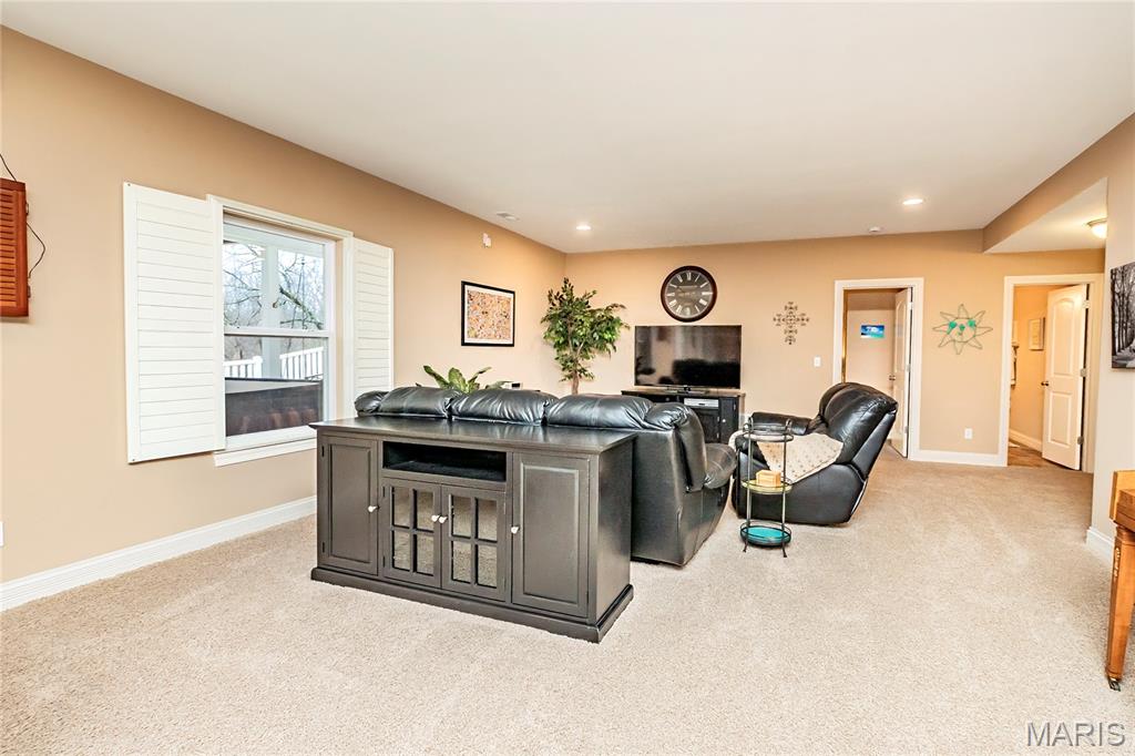 1570 Heritage Valley Drive High Ridge, MO 63049 - Photo 40 of 61