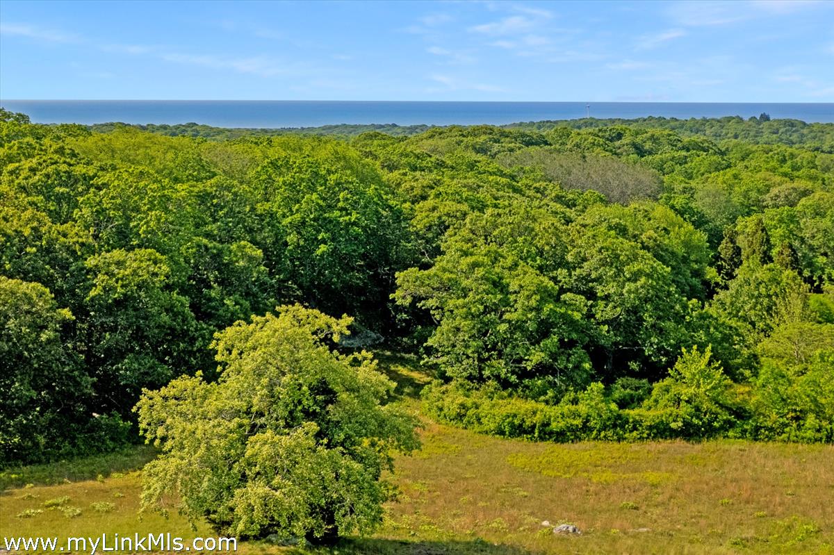 44 Cencelle Chilmark, MA 02535 - Photo 5 of 51